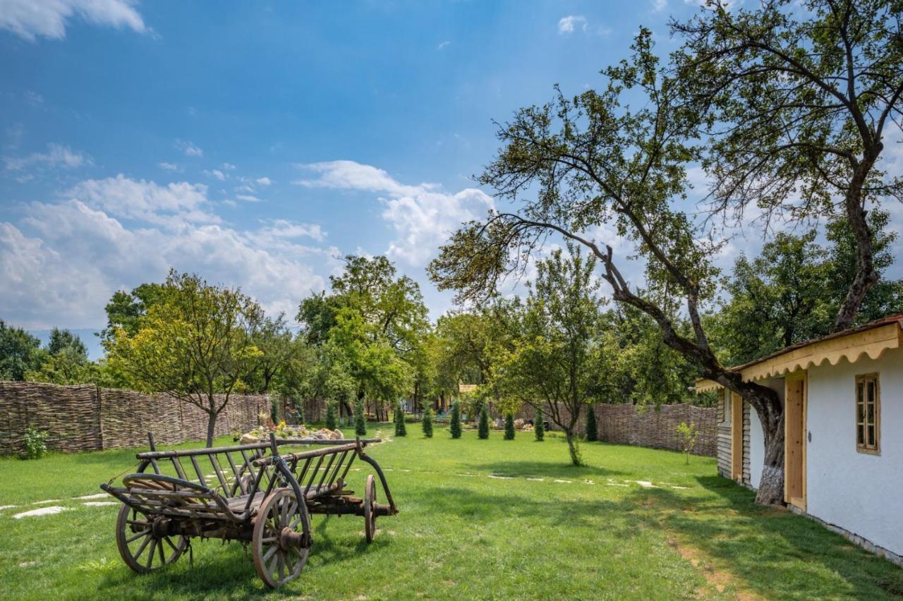 Joyard - Pensiune & Parc Porumbacu de Sus Exteriér fotografie