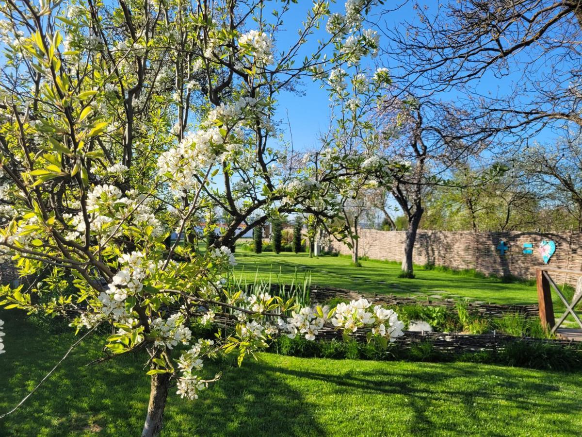 Joyard - Pensiune & Parc Porumbacu de Sus Exteriér fotografie