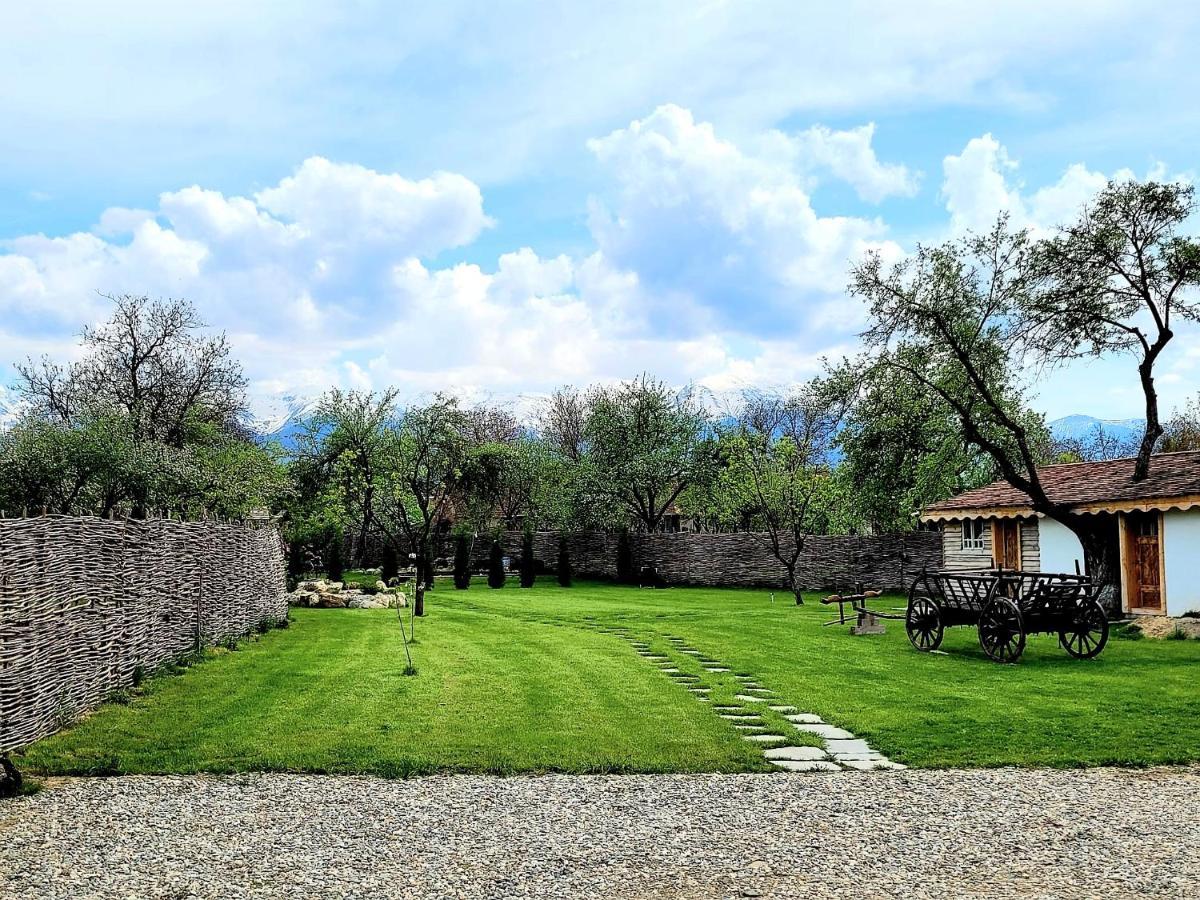 Joyard - Pensiune & Parc Porumbacu de Sus Exteriér fotografie