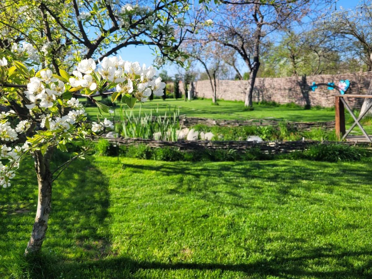 Joyard - Pensiune & Parc Porumbacu de Sus Exteriér fotografie