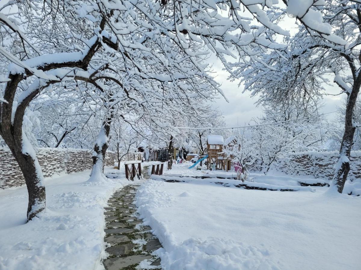 Joyard - Pensiune & Parc Porumbacu de Sus Exteriér fotografie